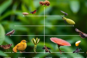 Taxonomic Hierarchy in Biology