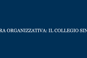 Il collegio sindacale