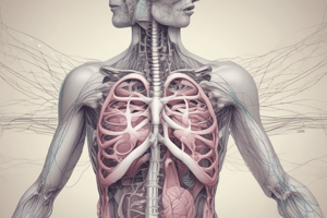 Respiratory System Primary Functions