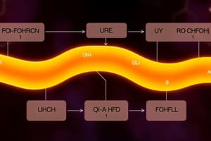 Biochemistry Urea Cycle Quiz