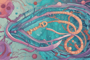 Genetic Transfer in Bacteria: Transduction Mechanism