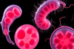 Salmonella, Shigella, and Yersinia (Ditki Notes)