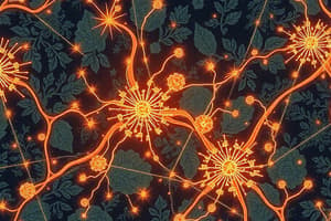 Neuroscience: Action Potentials Overview