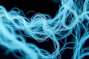 Lab-Grown Fibers in Textiles