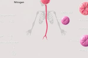 Protein Metabolism Lesson 2: Removal of Nitrogen