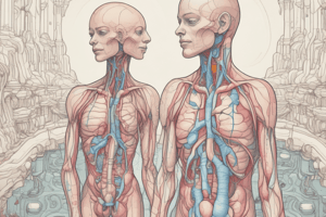 Urinary System and Dehydration Quiz