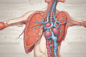 Physiology Chapter 24: Endocrine System and Pancreas