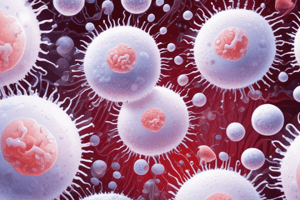 White Blood Cells (WBCs) Function and Types