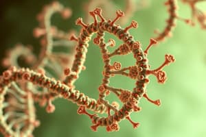 RNA Interference Overview