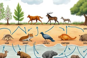 Food Webs and Energy Transfer