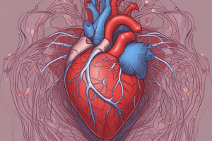 Cardiovascular System and Heart Function