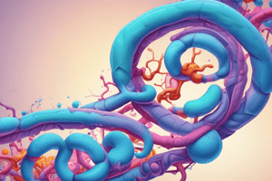 Chromatin Structure and Heterochromatin