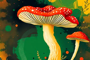 Fungi vs. Plants Quiz