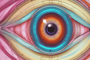 Optic Disc Anatomy and Physiology Assessment