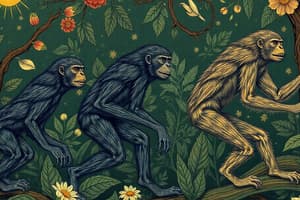 Human Evolution and Ancestors Quiz