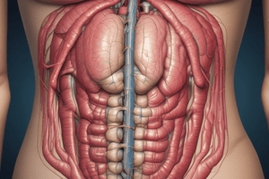 Abdominal Wall Masses and Hernias Quiz