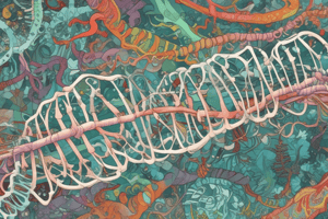 Transcription Initiation and RNA Polymerase