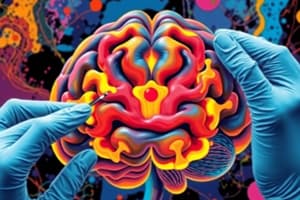 Neuroscience Brain Lesion Techniques Quiz