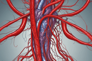 Types of Blood Vessels in the Human Circulatory System