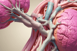 Anatomy of Mammary Glands