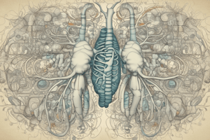 Respiratory System Terminology