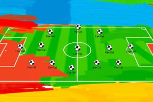 Soccer Team Structures and Formations