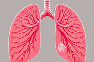 Respiración en Vertebrados y Aves