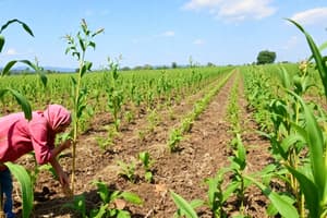 Agricultural Decline in the Pacific Region