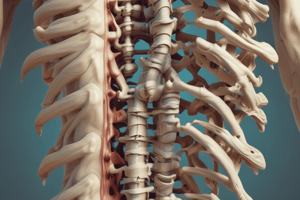 Spinal Curvatures Quiz