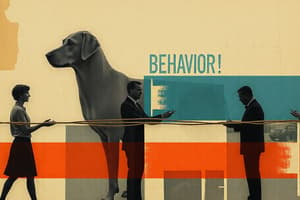 Behavior Chain Analysis