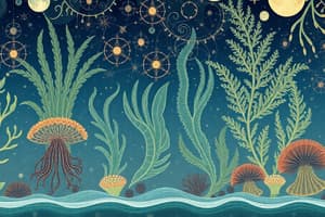 Marine Ecosystem Overview Quiz