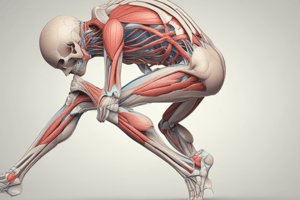 The Knee Joint and its Components