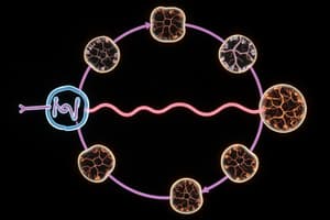 Biochemistry Link Reaction and Krebs Cycle