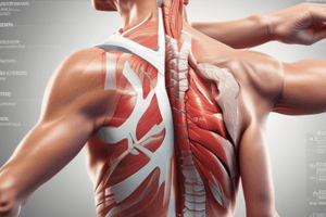 Rotator Cuff-Related Shoulder Pain