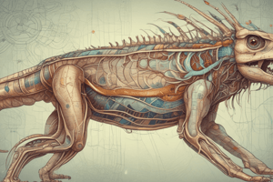 Zoology 120: Animal Physiology - Peripheral Nervous System