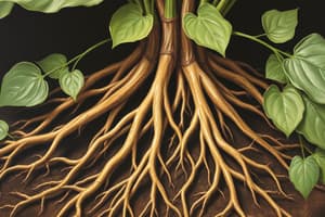 Plant Biology: Root Functions and Systems