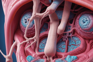 Respiratory System: Nose and Nasal Cavity