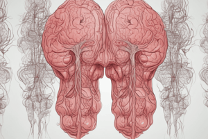 Stroke Overview and Rapid Treatment