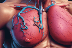 Evaluation and Management of Flail Chest