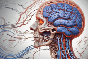 Neurotransmitters and Synthesis