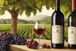 Wine Classes: Regions, Styles, and Production