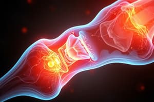 Bone Healing Stages Overview