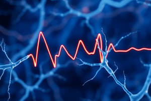 Neuroscience: Action Potentials & Synapses