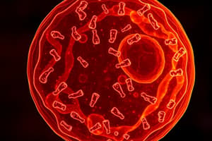 Biology Lesson 8: Cellular Cycle Overview