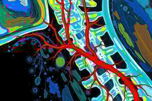 أسئلة الـ Blood Supply of CNS