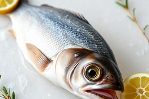 Fish Freshness Assessment Techniques