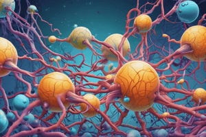 TP 7 : Phosphatase Alcaline - Rôle et Fonctionnement