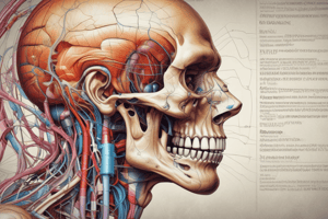 EYE AND EAR ANATOMY