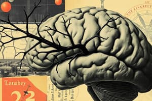 Neuroscience Terms and Concepts