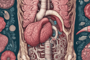 Digestive Tract: Introduction